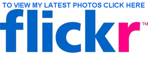 flikr